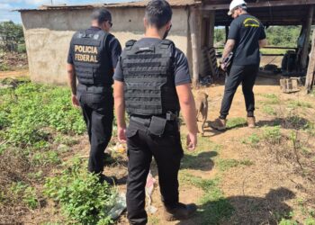 Oito trabalhadores são resgatados de trabalho escravo e 4 adolescentes de trabalho infantil em MT