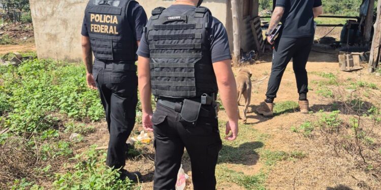 Oito trabalhadores são resgatados de trabalho escravo e 4 adolescentes de trabalho infantil em MT