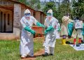 OMS e CDC África lançam plano de resposta ao surto de ebola na região